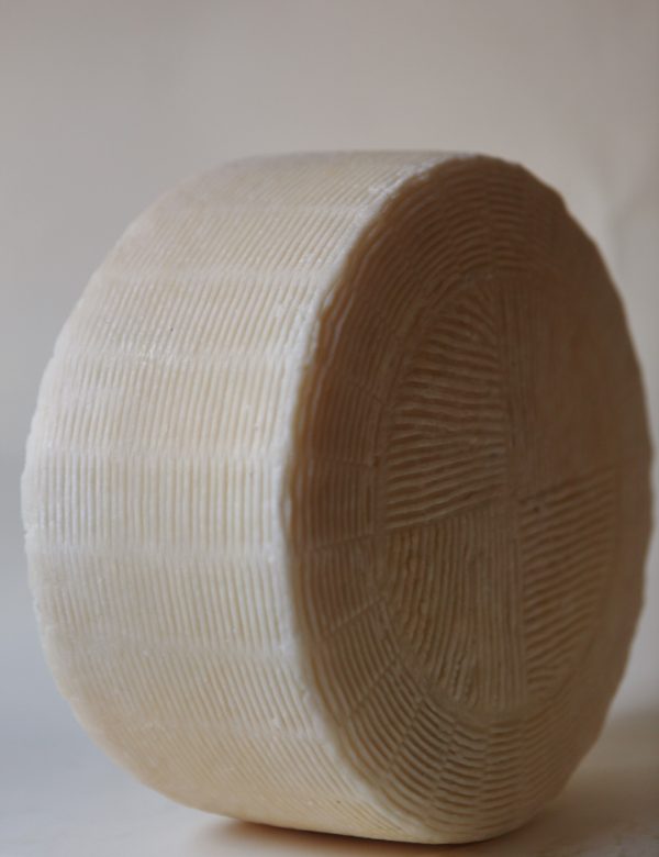 Formaggio Vaccino Primo Sale - immagine 2